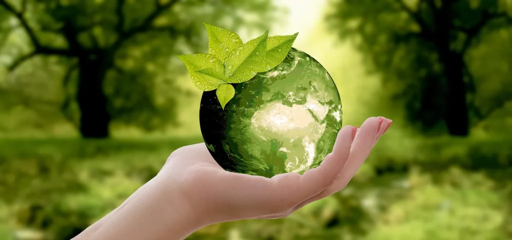 Hand hält grüne Erde mit Blättern vor Waldhintergrund.